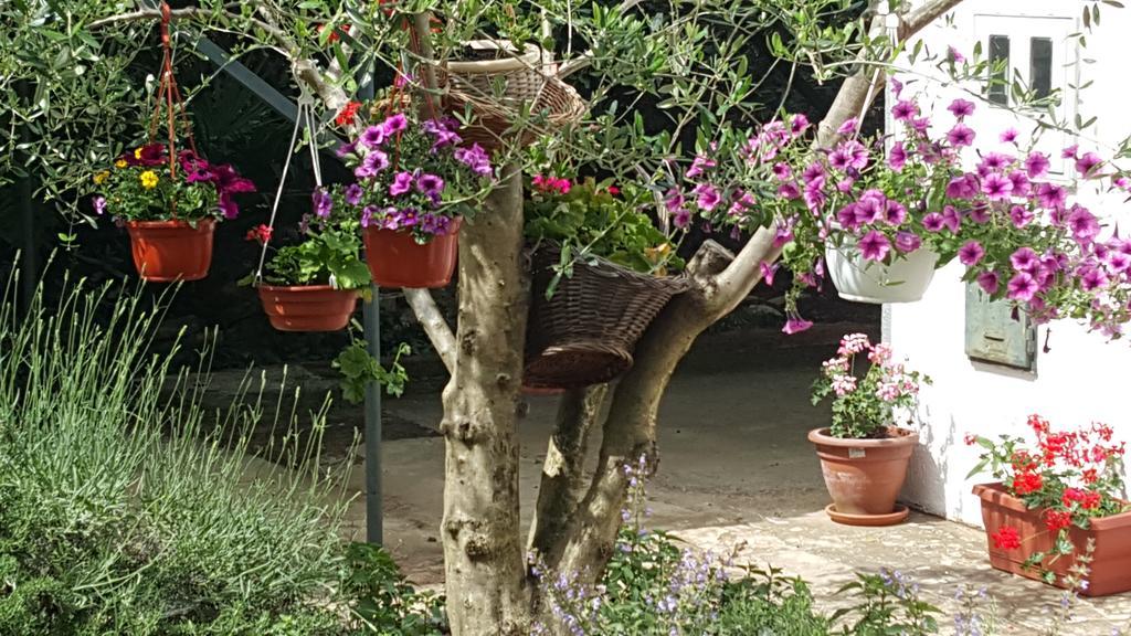 Holiday House Altea Banjole Rum bild