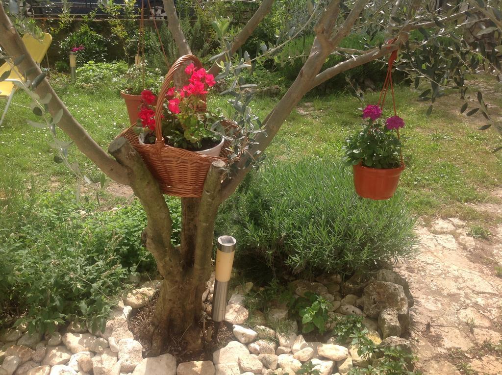 Holiday House Altea Banjole Rum bild