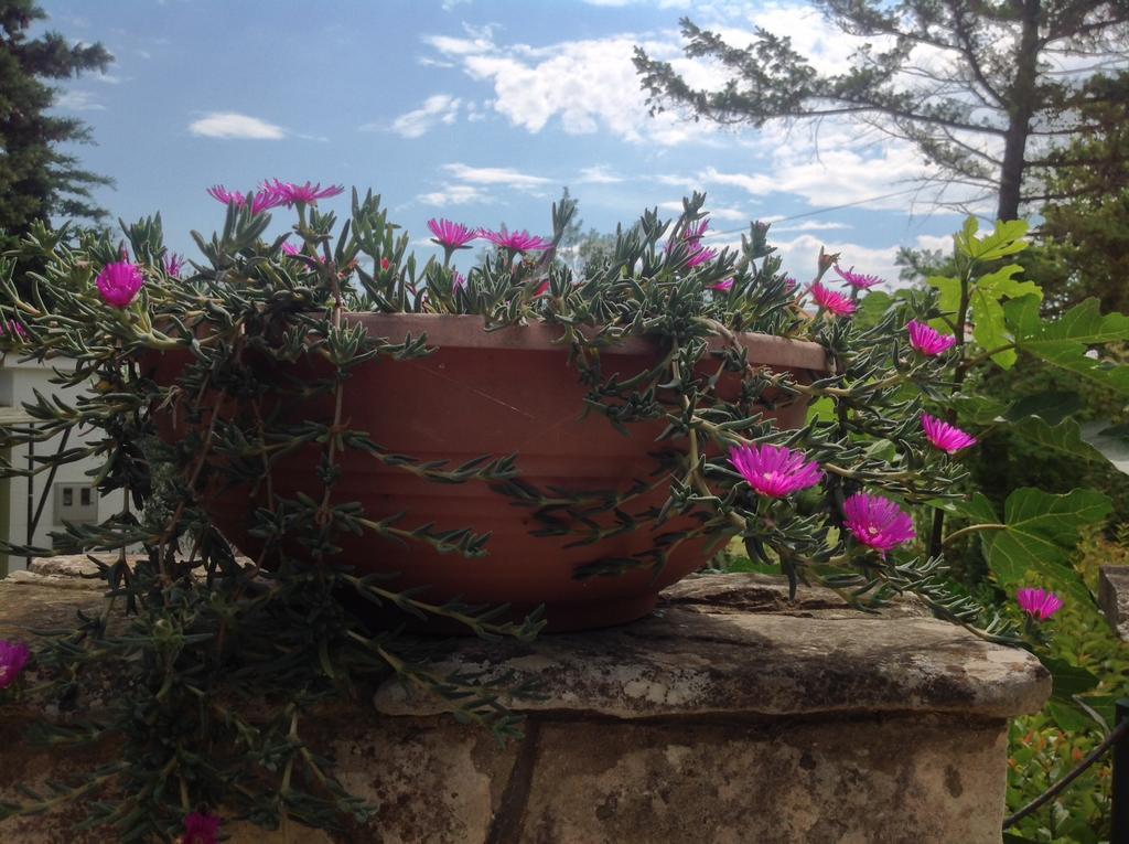 Holiday House Altea Banjole Rum bild