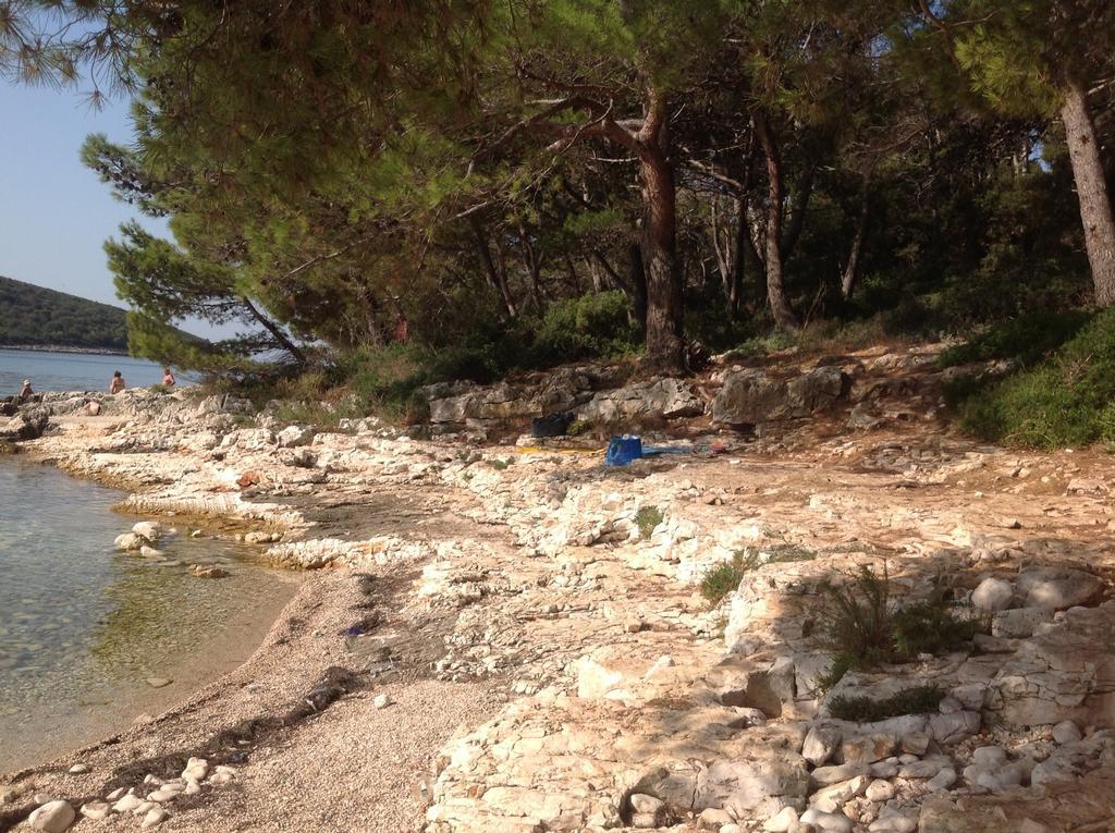 Holiday House Altea Banjole Rum bild